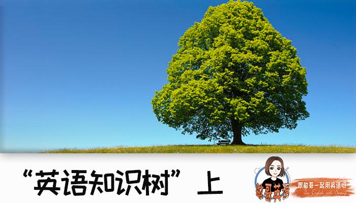 英语结构化知识构建,英语的知识体系结构
