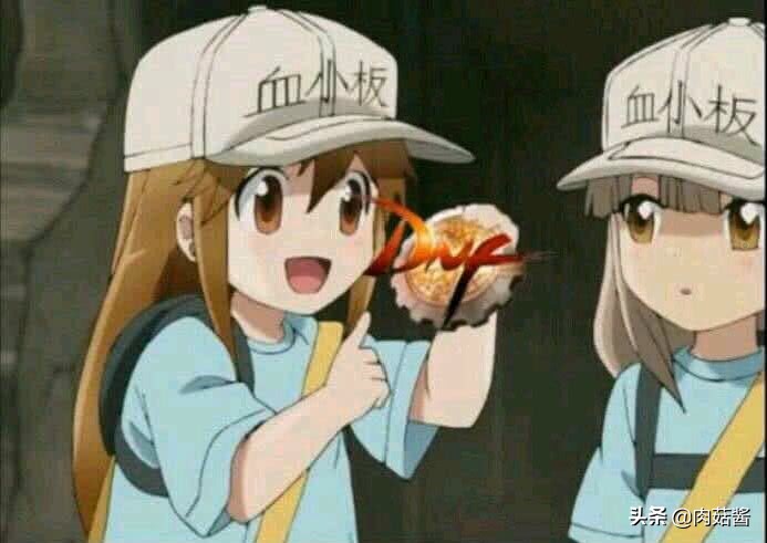 dnf更新后全屏掉帧严重,dnf按x就卡的解决方法