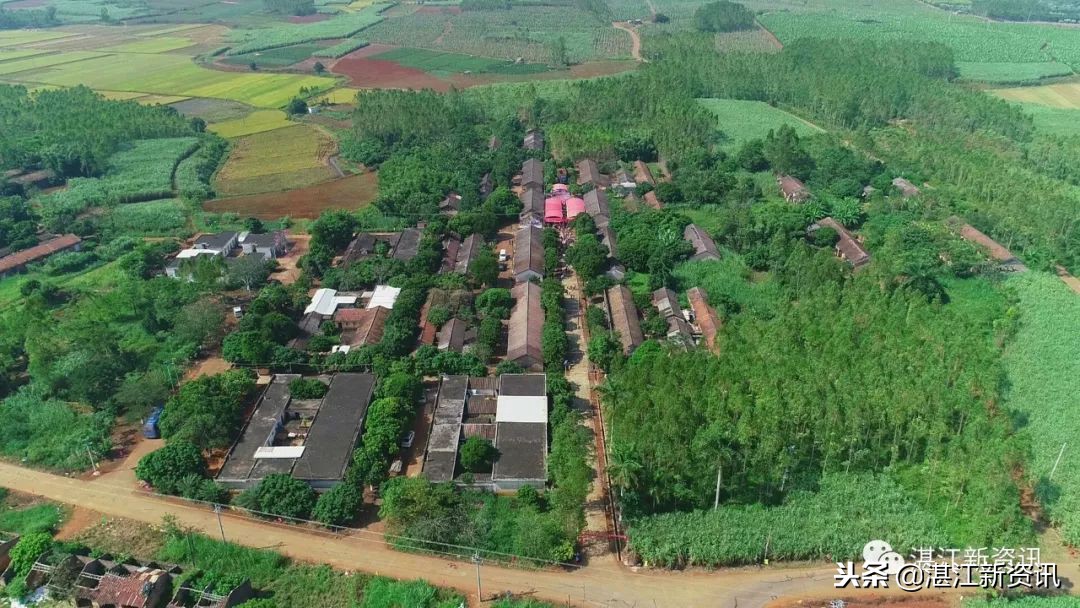 知青下乡49周年纪念活动,纪念知青下乡50周年图片图文