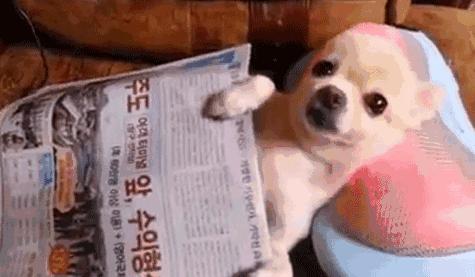 自己眼皮跳可以预测好事坏事,眼皮跳是福祸预兆吗