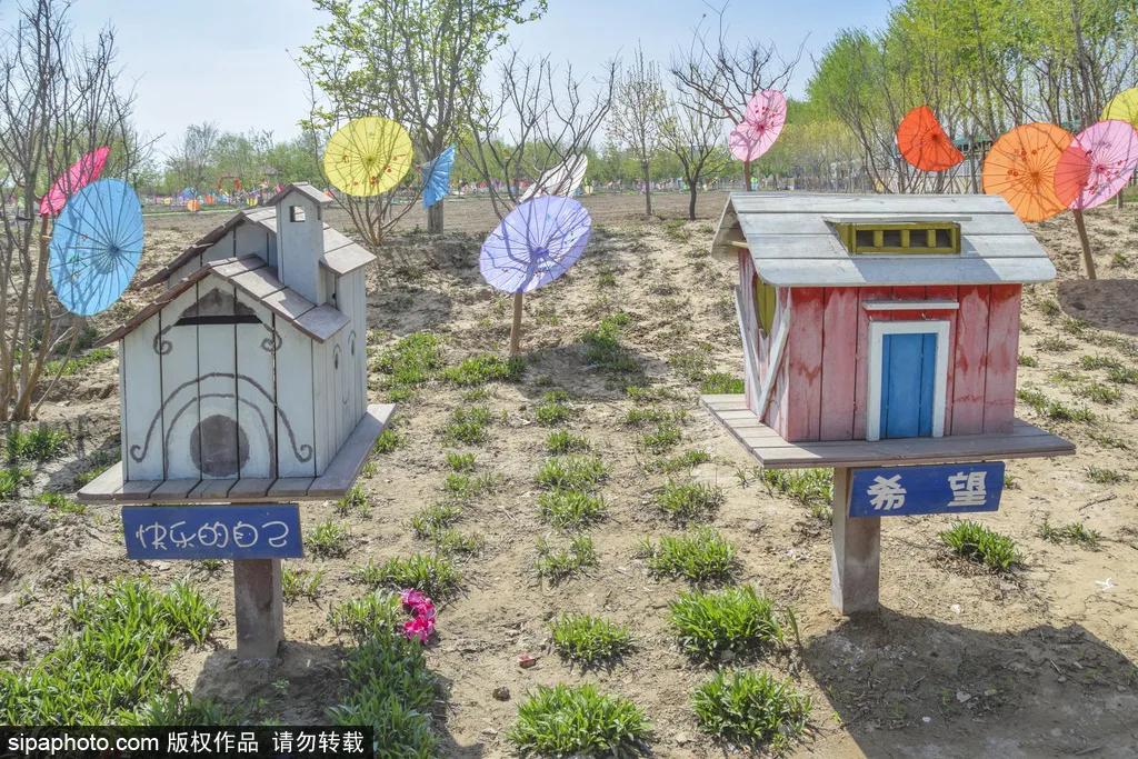 薰衣草花海真是太美了,北京薰衣草花海打卡网红地