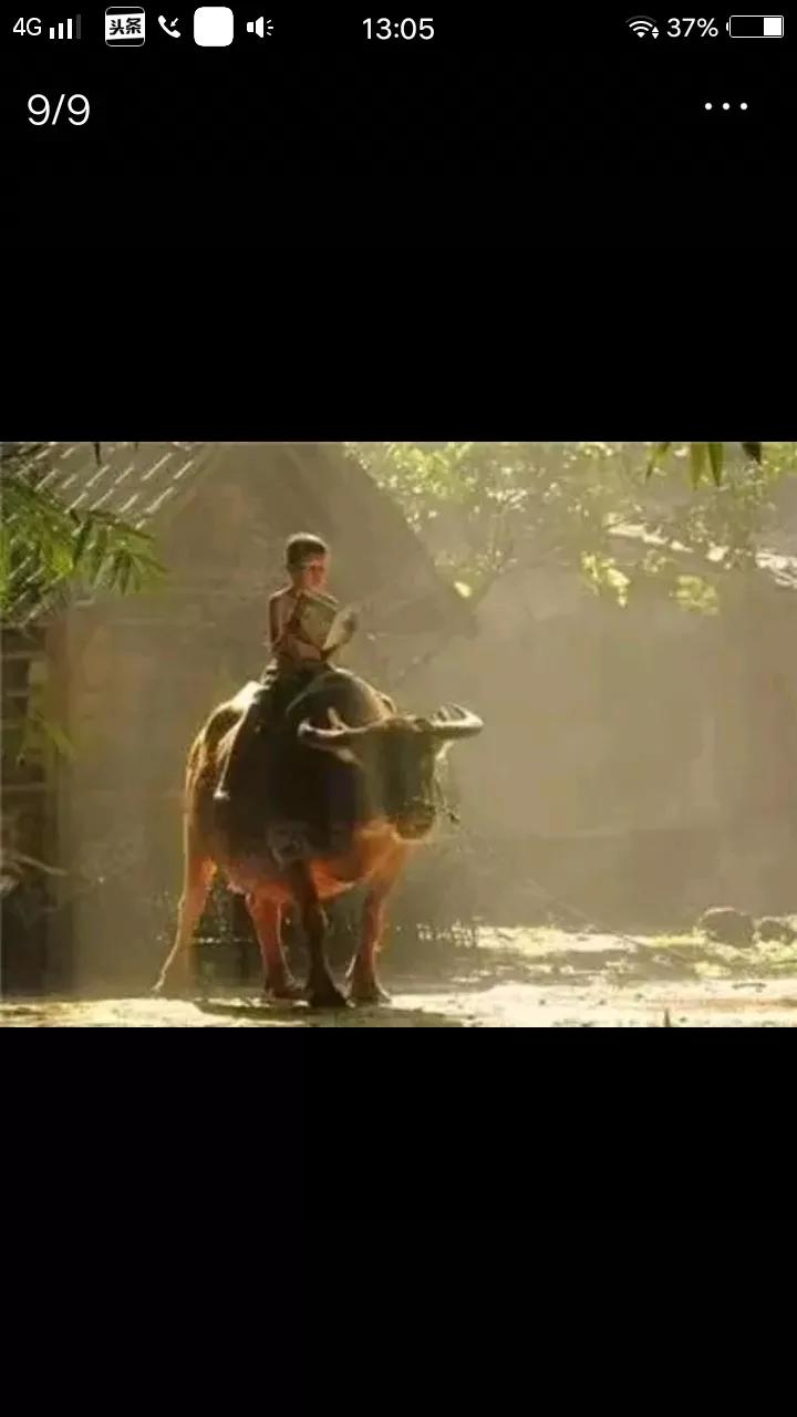 守岁梁子里赏析,守岁梁子里现代文阅读