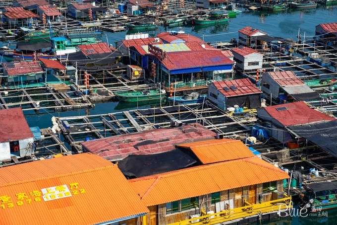 三亚南湾猴山岛,三亚南湾猴岛好玩的地方