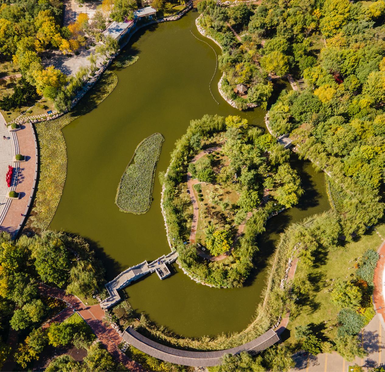 天津森林公园儿童乐园项目介绍,滨海新区适合带孩子玩的公园