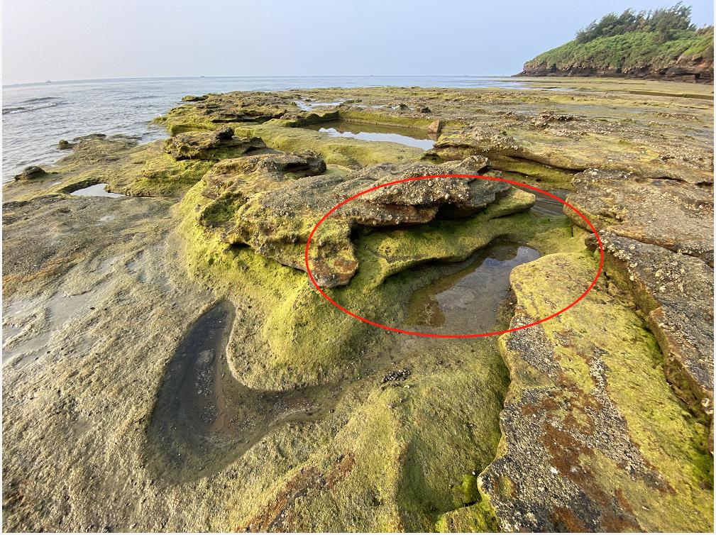 13个不得不学的手机拍摄技巧,100个技巧让你的手机摄影更专业