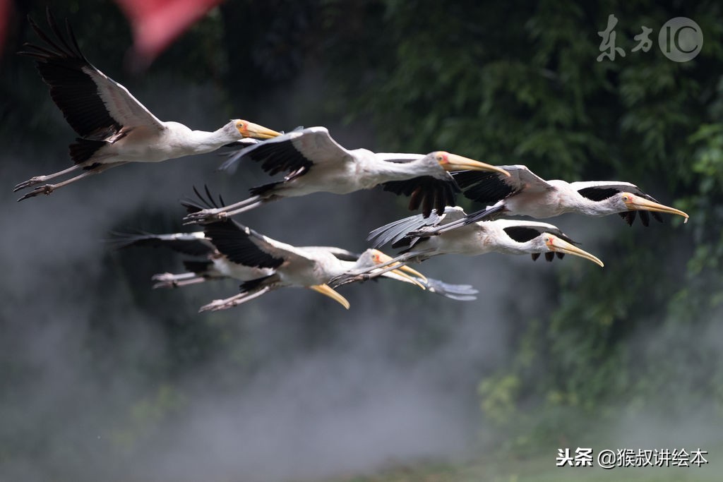 时隔多年再读一本书,时隔三十年的书籍