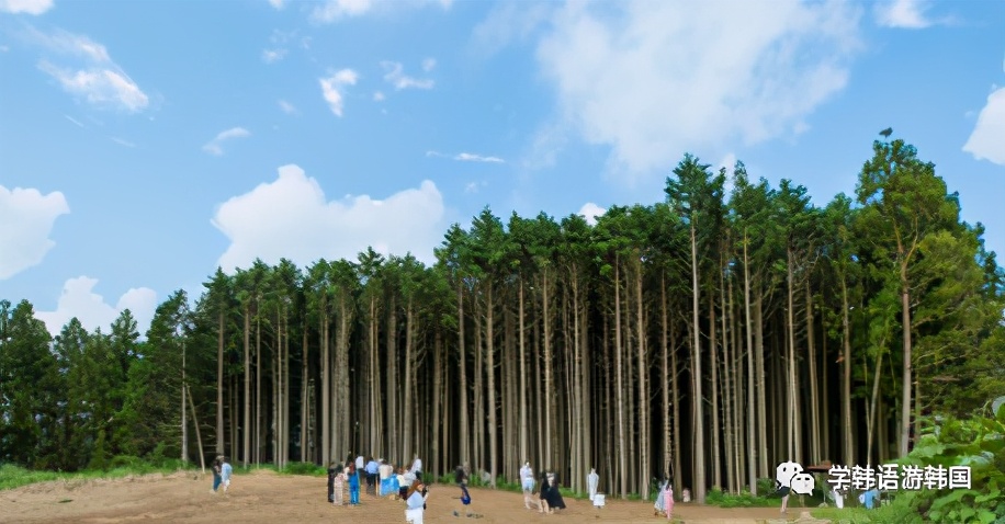 济州岛穿搭夏天旅游凉快,济州岛夏日旅行