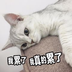 如何把图片文字快速提取,如何快速提取图片文字并保留格式