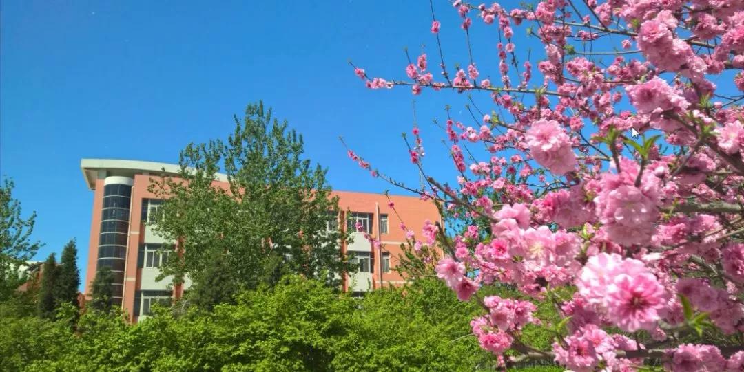 天津市瑞景中学前身天津师范学校,天津市高级中等学校