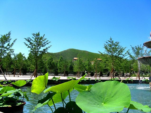 灵山宝塔陵园公墓官网,三河市灵山宝塔陵园