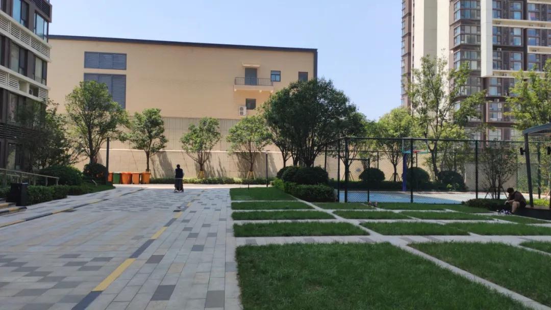 大河楼市·灾后12个小区隐患大检验，第五期