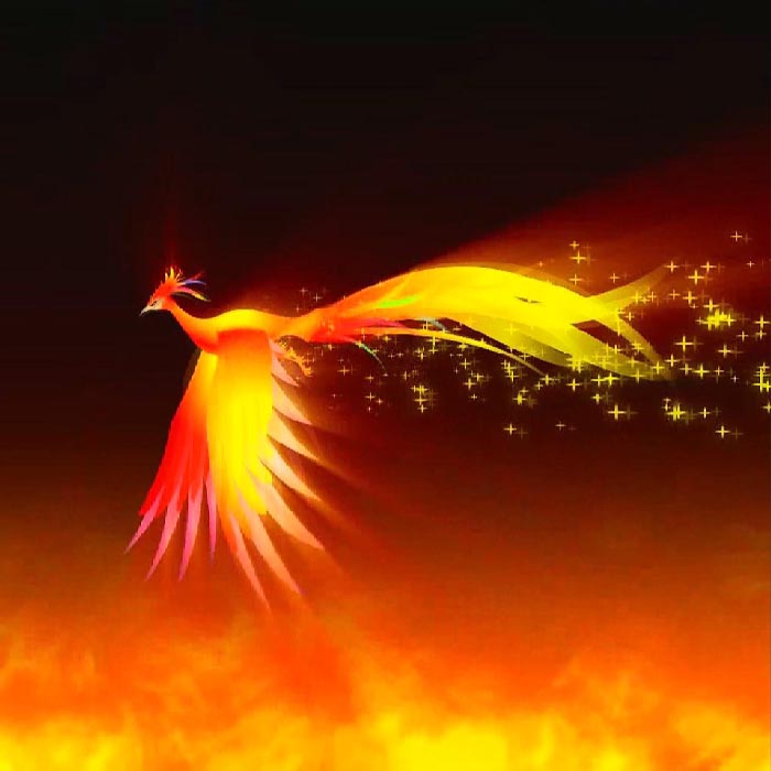 创业者自白视频,创业者的自白和感悟