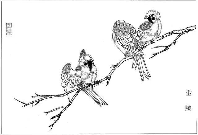 工笔花鸟白描步骤图,牡丹六尺横幅白描工笔花鸟底稿