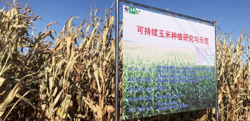 伊利集团业绩,伊利集团近三年盈利能力分析