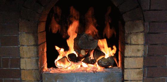 快乐大巴最新一期,快乐大巴2019年6月28日