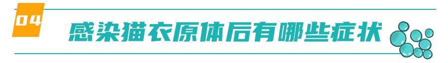 怀孕的母猫得猫瘟没流产,怀孕母猫得了猫鼻支会流产么