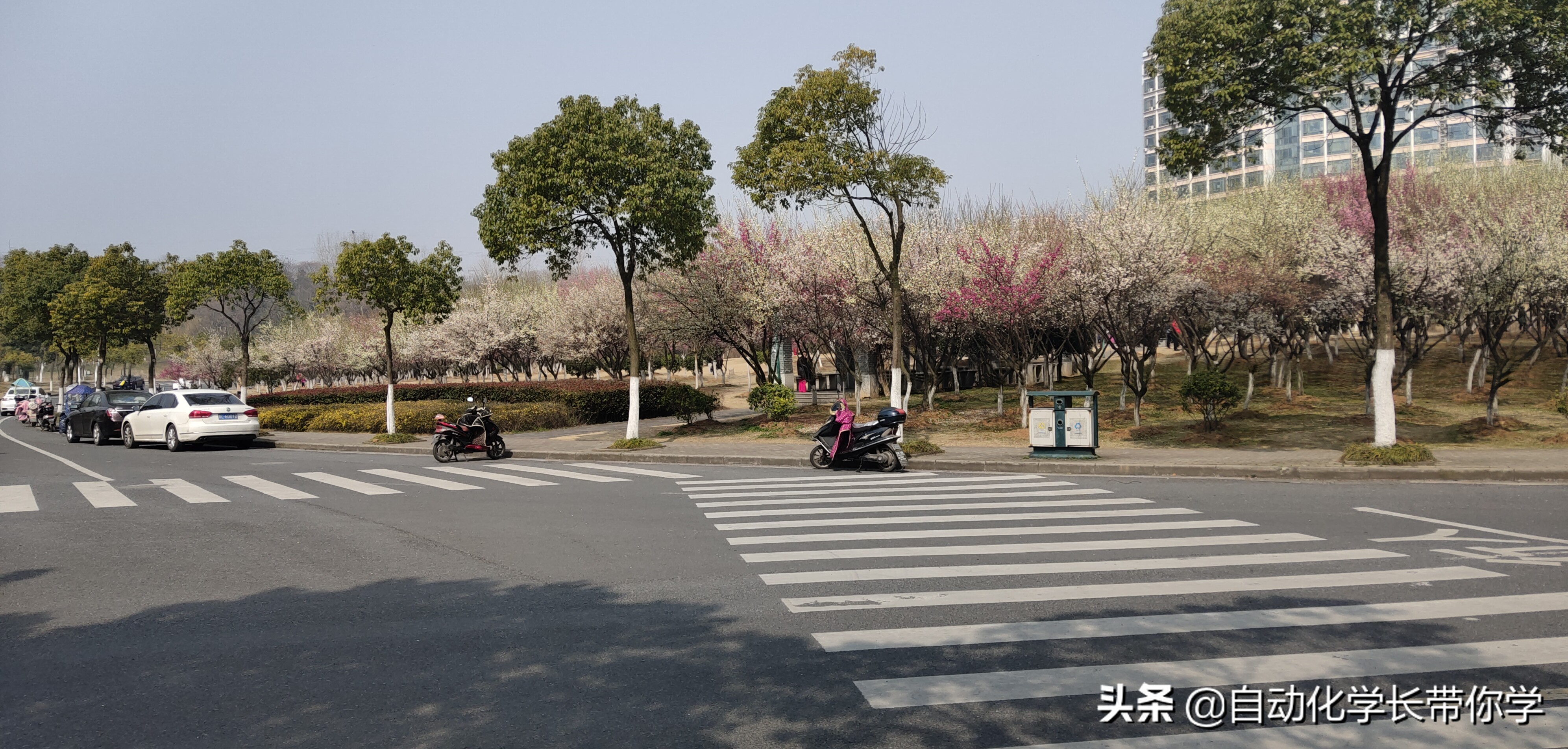 自动化具体是什么专业学的,自动化专业与工业自动化区别