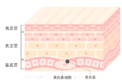 李佳琦直夸的国货小白灯，28天“点亮”暗黄肌，停用后不反弹