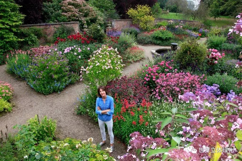 为什么园艺疗法能快速发展,园艺疗法的应用领域