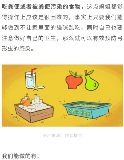 怀孕养宠物，能养，猫狗没有“弓形虫”没问题