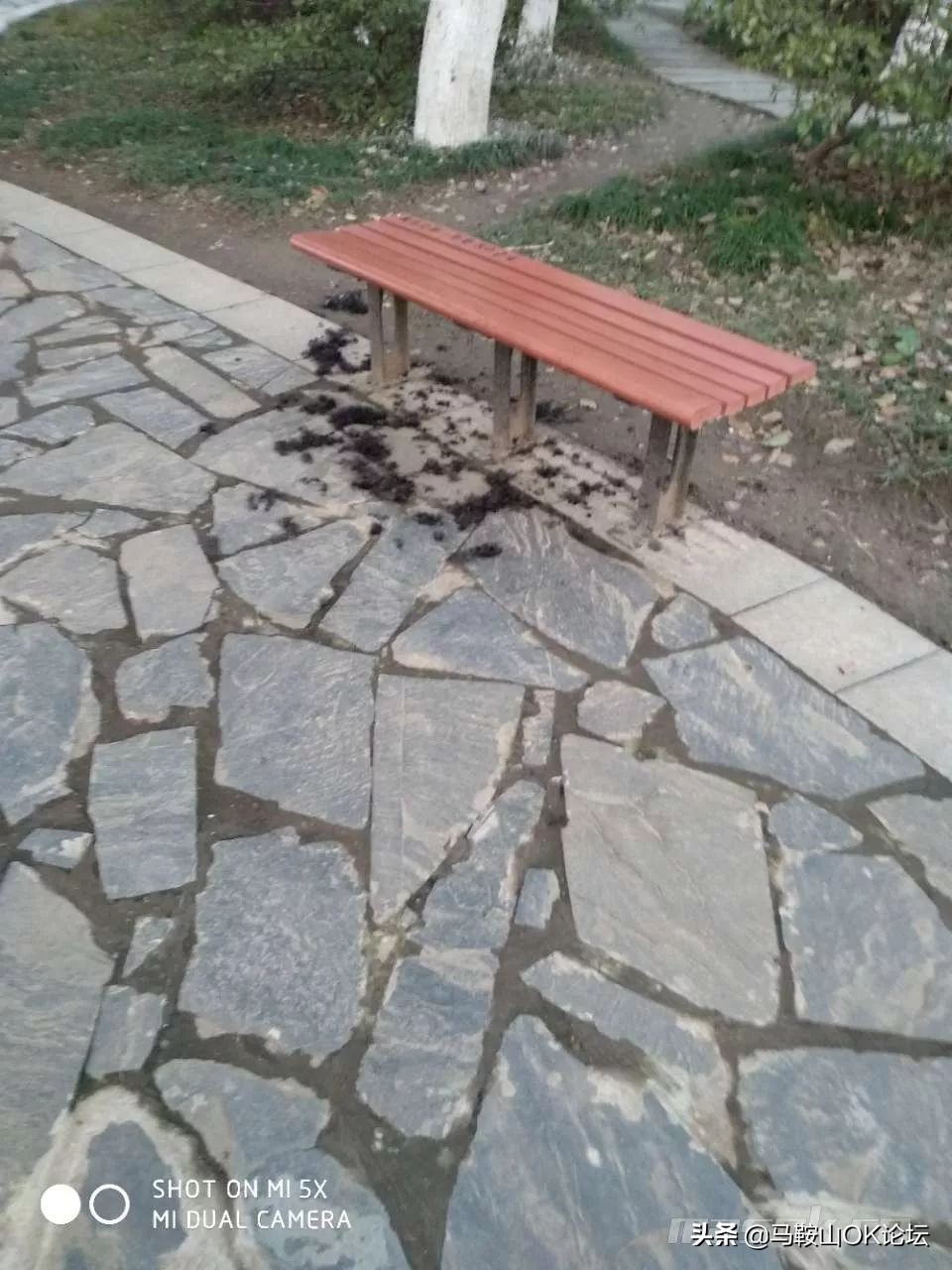 想不通!马鞍山这些‘垃圾人’还可以这么任性?