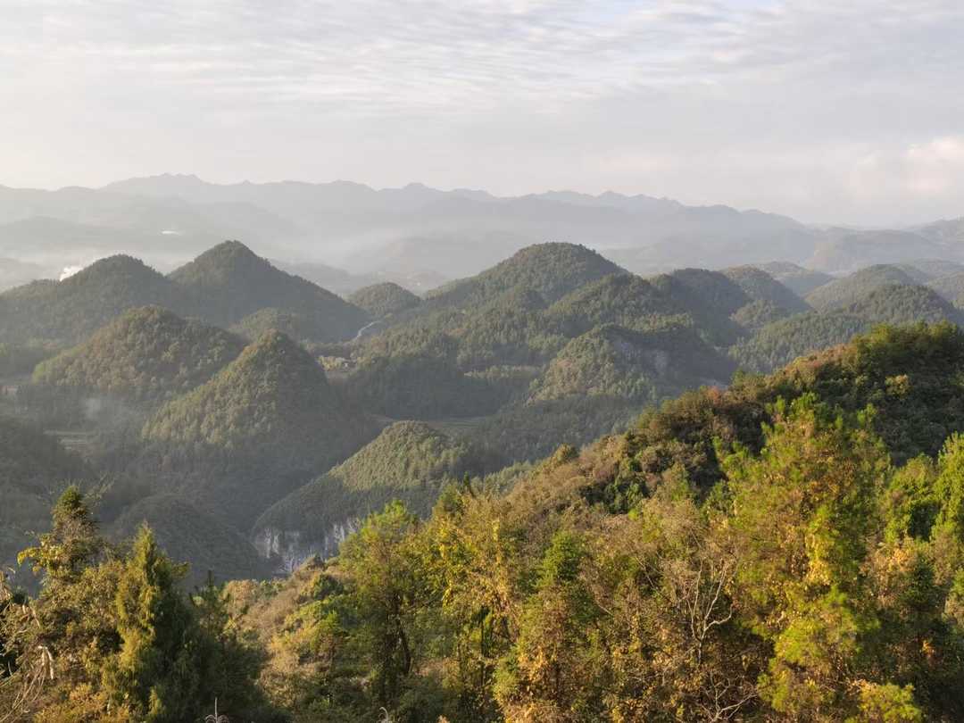 乙肝携带者阻断母婴传播,如何更好地阻断三病母婴传播