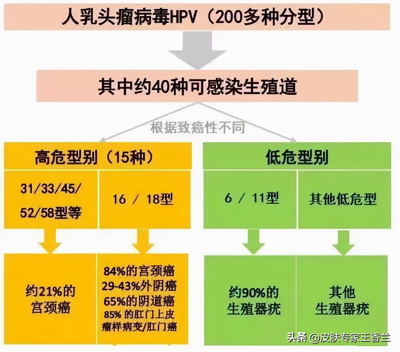 关于hpv的6个误区,关于hpv的9大误区