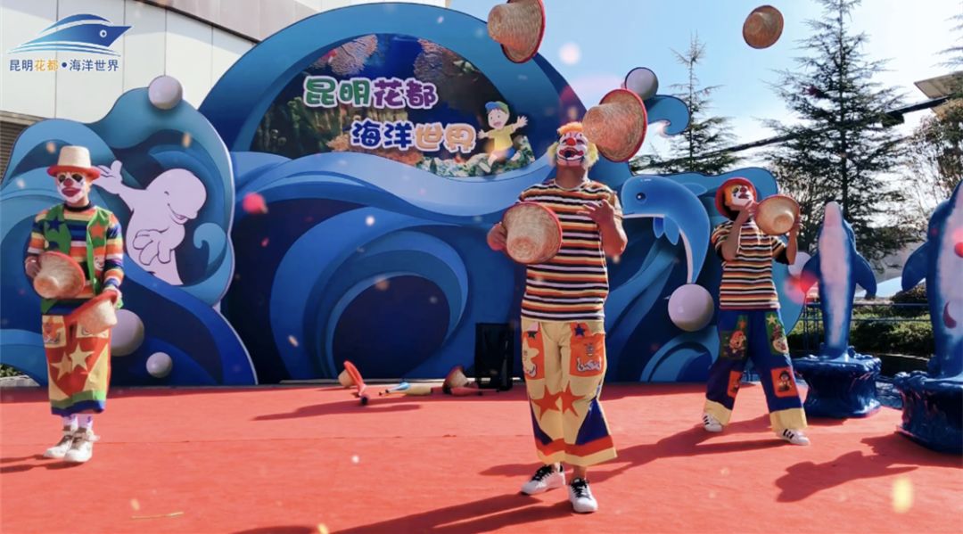 海洋剧场秀、丛林萌宠乐园、风车向阳花，昆明热闹新春，属于它