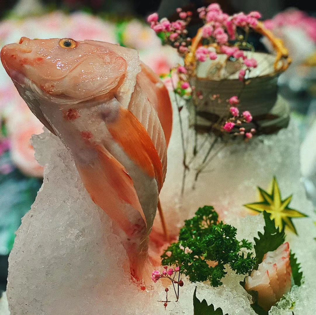 重庆光环上井精致料理探店,上井精致料理什么不限量