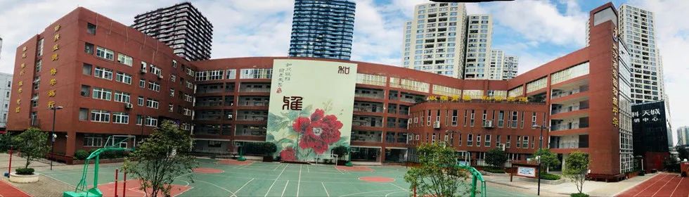 民办初中摇号最热门学校,民办小升初摇号学校有哪些