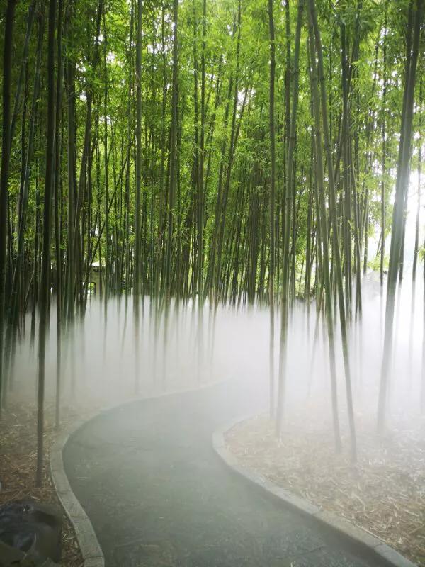 手拍世界摄影网,手拍世界微信公众号