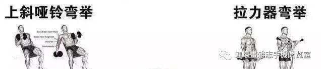 健身看图识物,健身看网上的教学视频