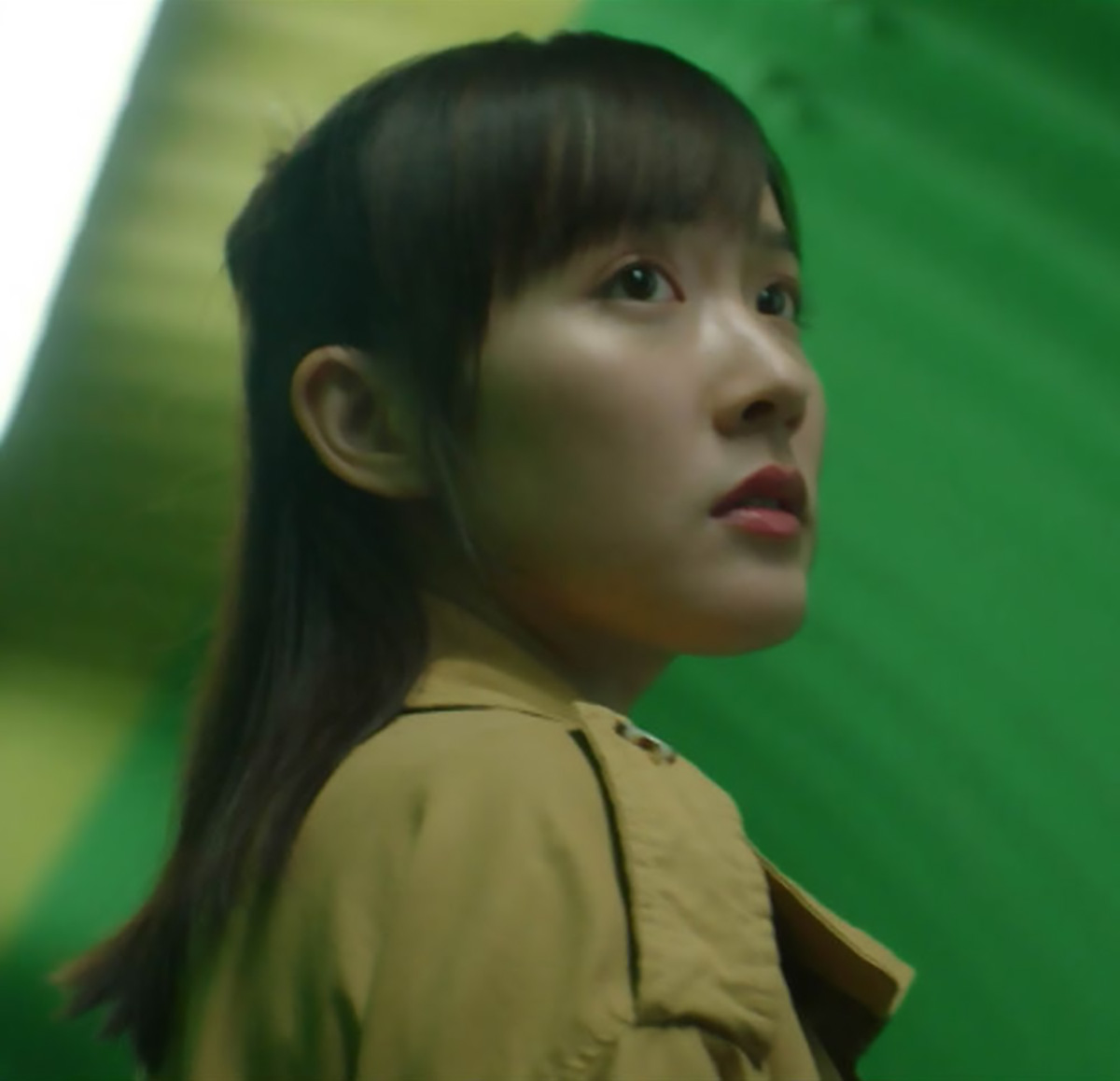 今年ViuTV六部新剧:主演年轻化,港星叶童、吴家丽“回巢”