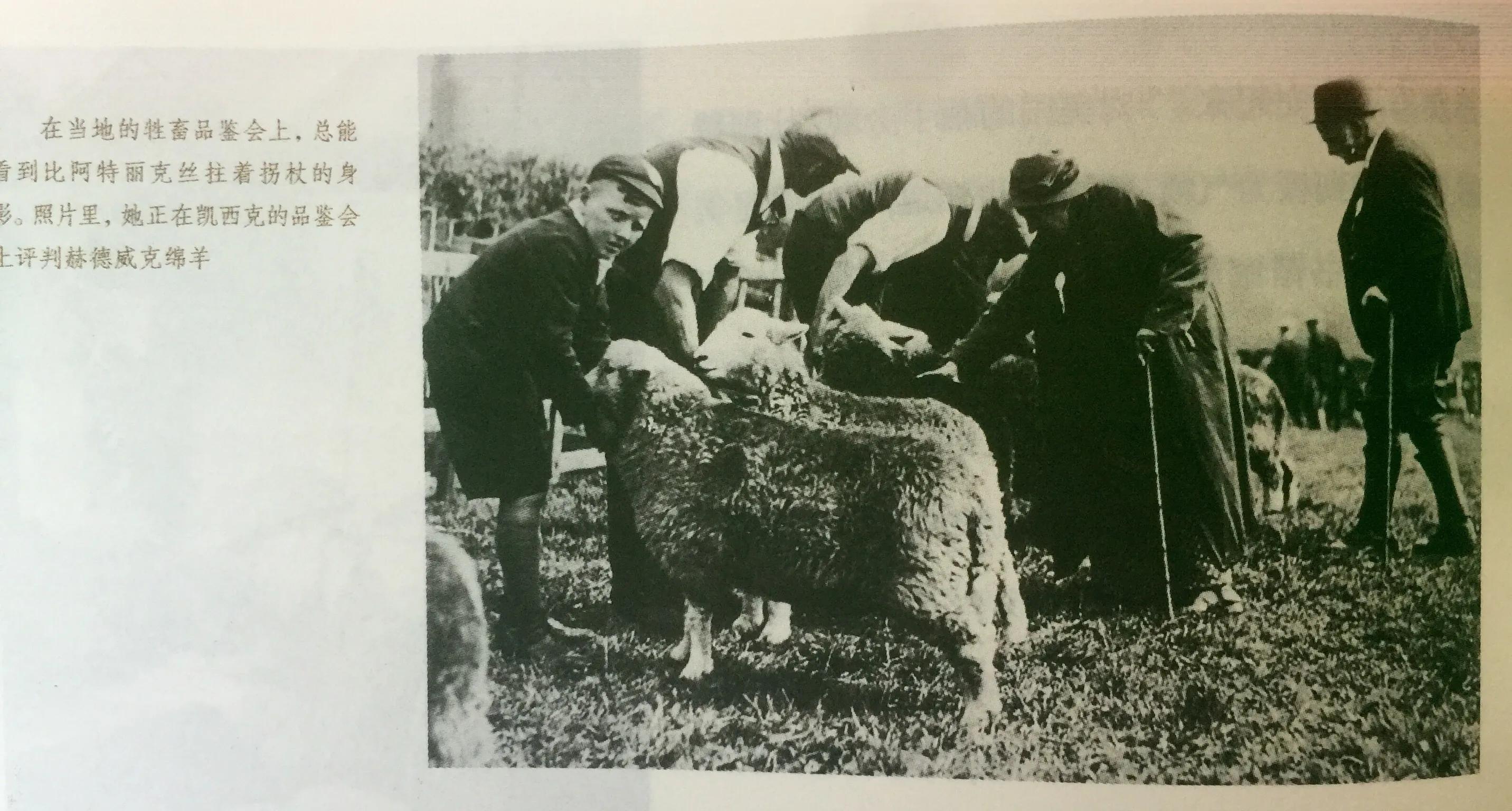 《永远的波特——彼得兔的妈妈》:揭晓彼得兔经久不衰的魅力所在