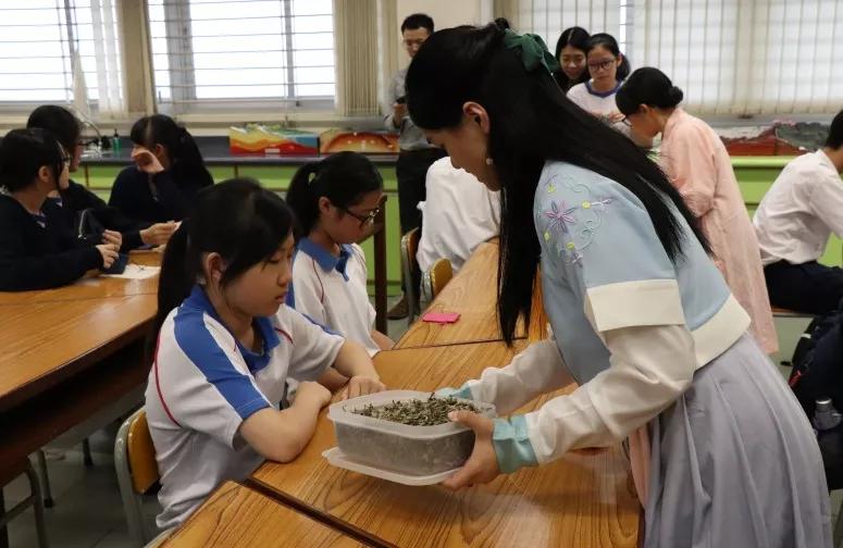 穿50件汉服是什么体验,在香港穿汉服惊艳全场