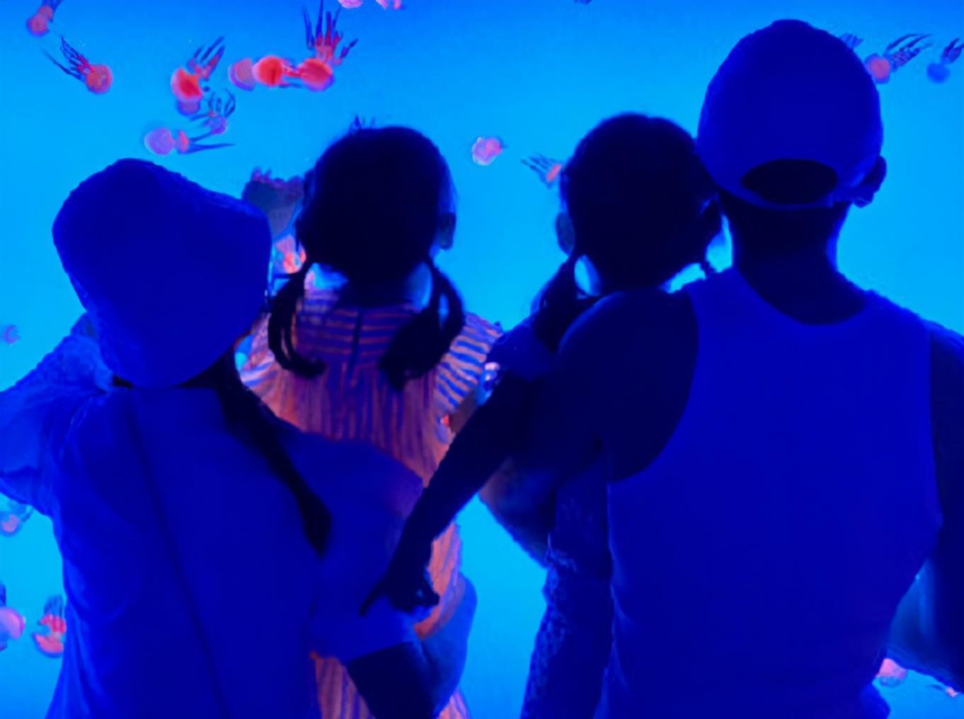 谢娜产后首次与张杰秀恩爱的视频,谢娜和张杰的二胎宝贝现在的状况