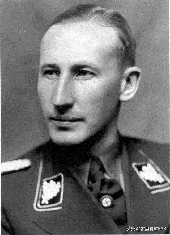 德意志黑王子,纳粹德国黑王子