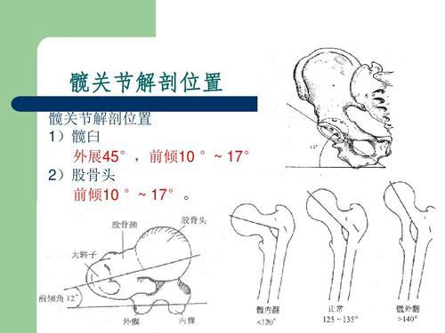 蹲时会出现的情况，屁股眨眼，原因是什么？