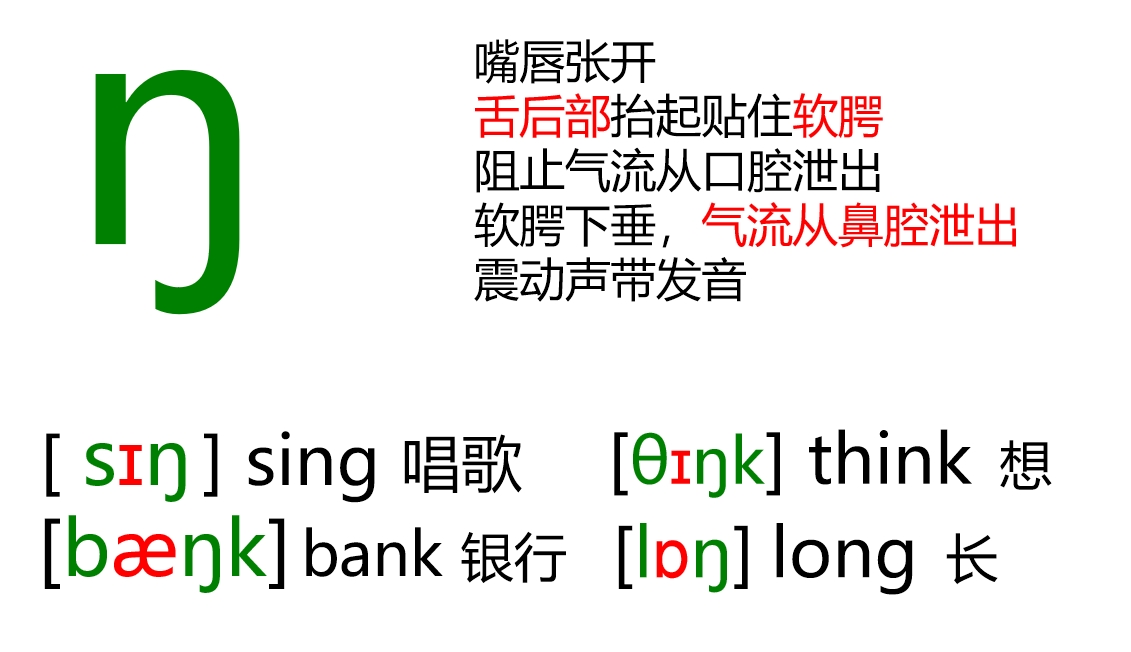 48个音标全套卡片作用,英语音标卡片48个正确发音嘴型