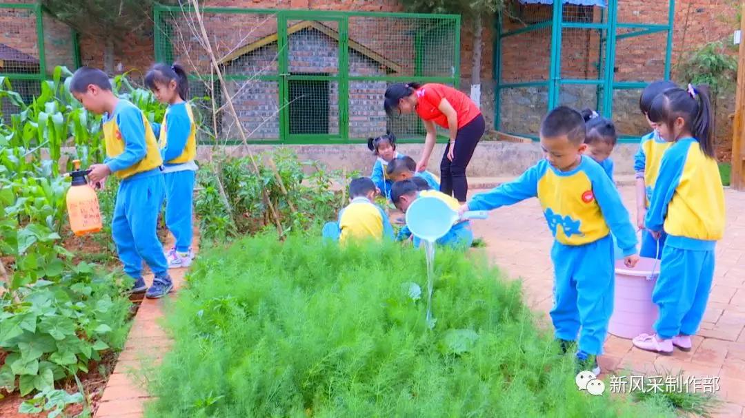 孩子是希望,泸西县白水镇代代红幼儿园大一班