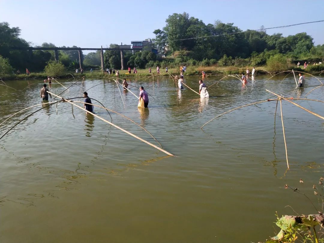 洮阳古城在哪里,洮阳城遗址