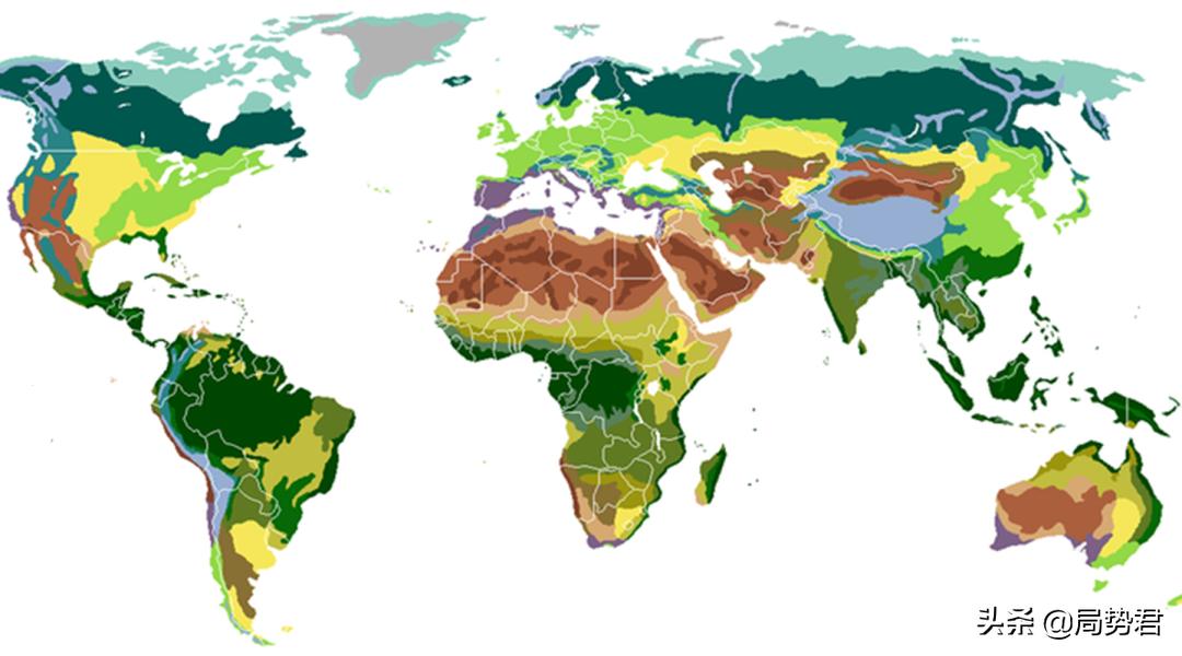 全球森林面积最低的国家排名,亚洲面积最大的人工红松森林