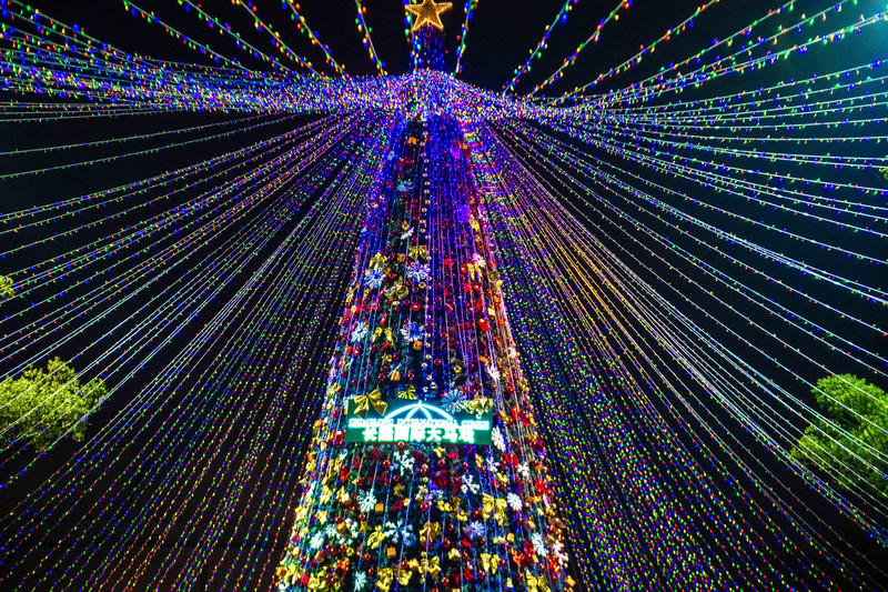 玩转广州长隆野生动物世界之行,广州长隆动物世界游玩攻略图