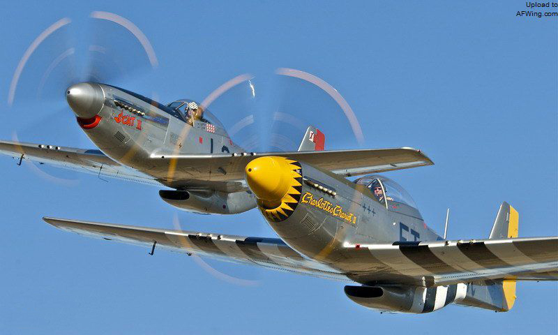 看过来，你的属相“藏”在哪种*器武**装备里？