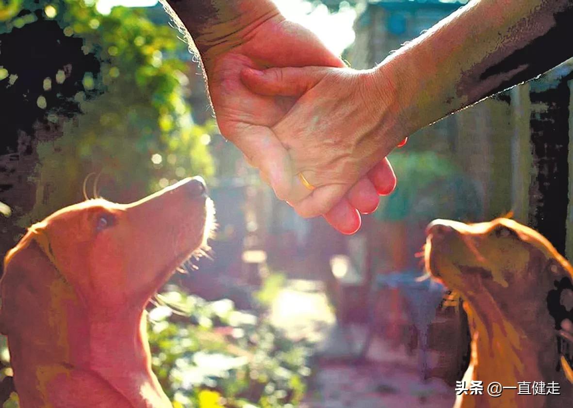 可怕的谣言小说,谣言的危险小说