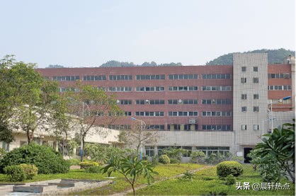 国产安全套排名表,安全套评测排行榜第一名