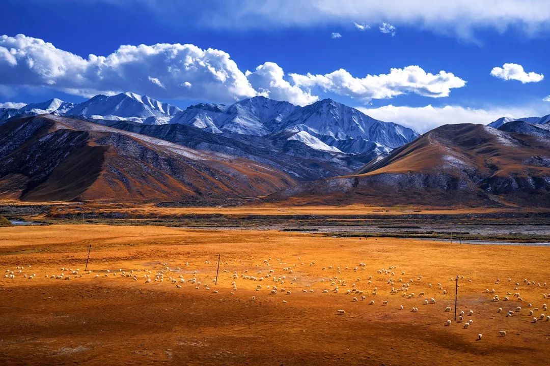 张掖是哪里,什么是张掖人