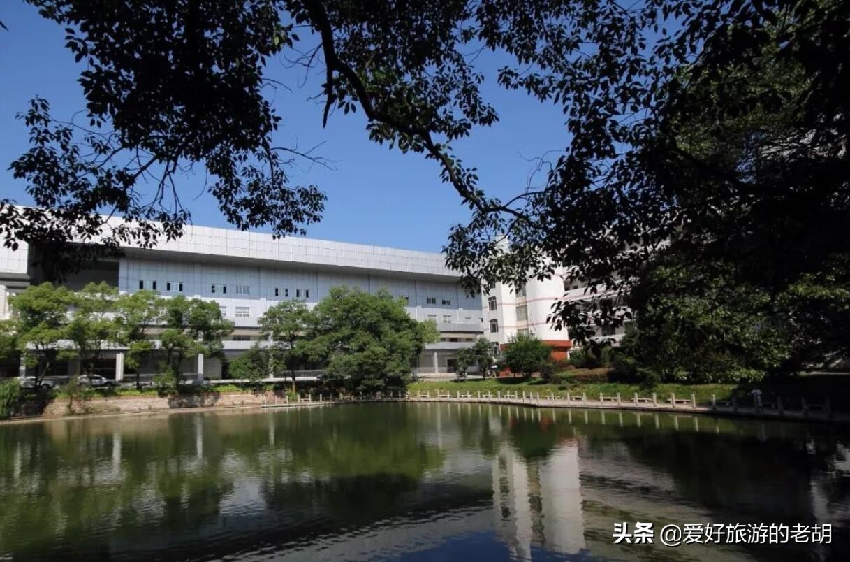 拥有7万多亩林场的湖南高校，校园绿树成荫，因美食闻名全湖南
