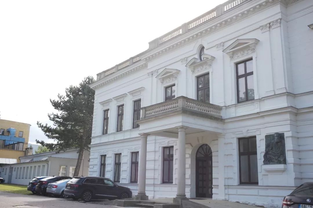 探访TON工厂看经典椅子背后的故事|疯狂24h我们去捷克干了啥?