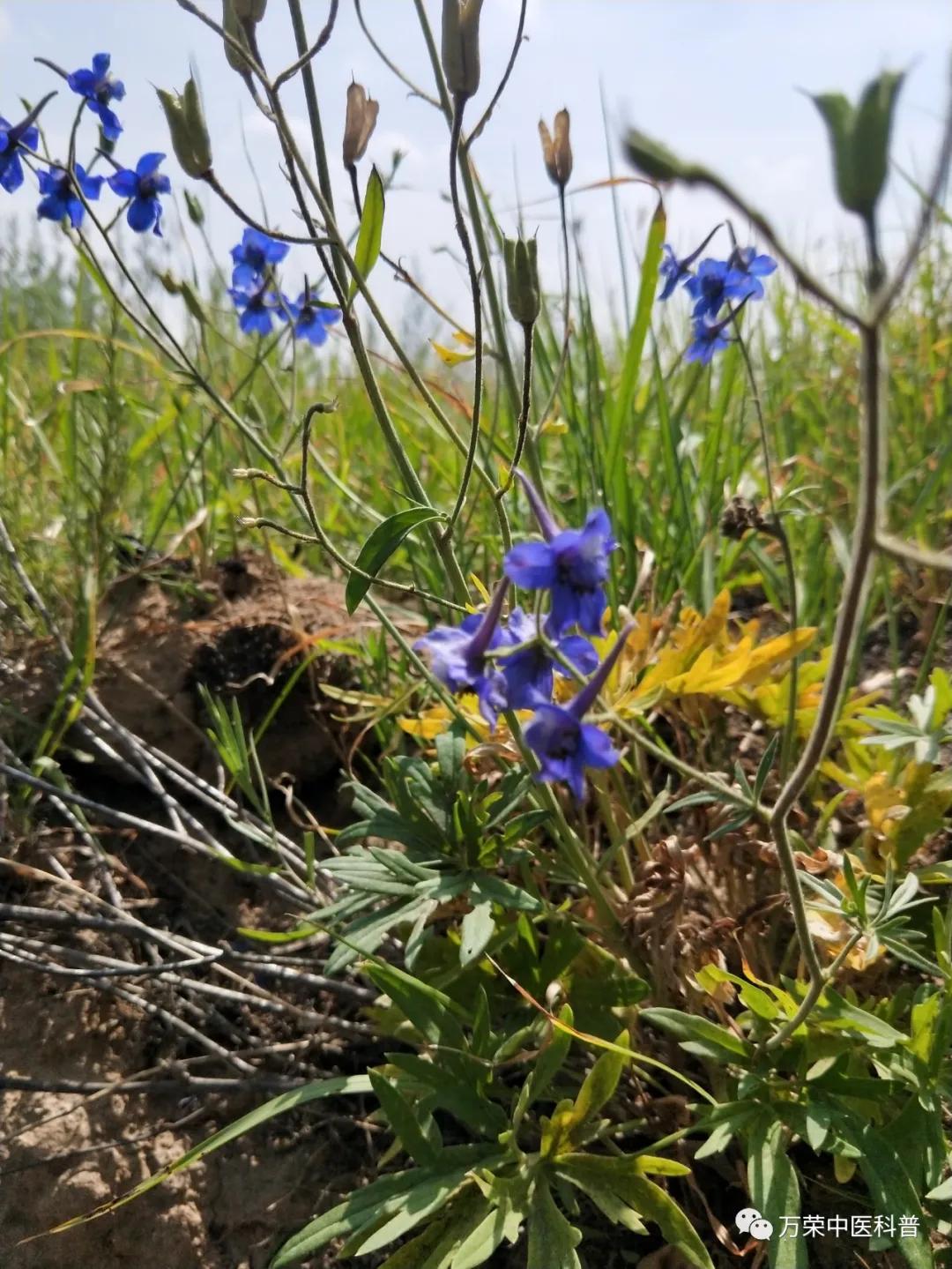 跟我回家在线免费看,跟我回家免费看